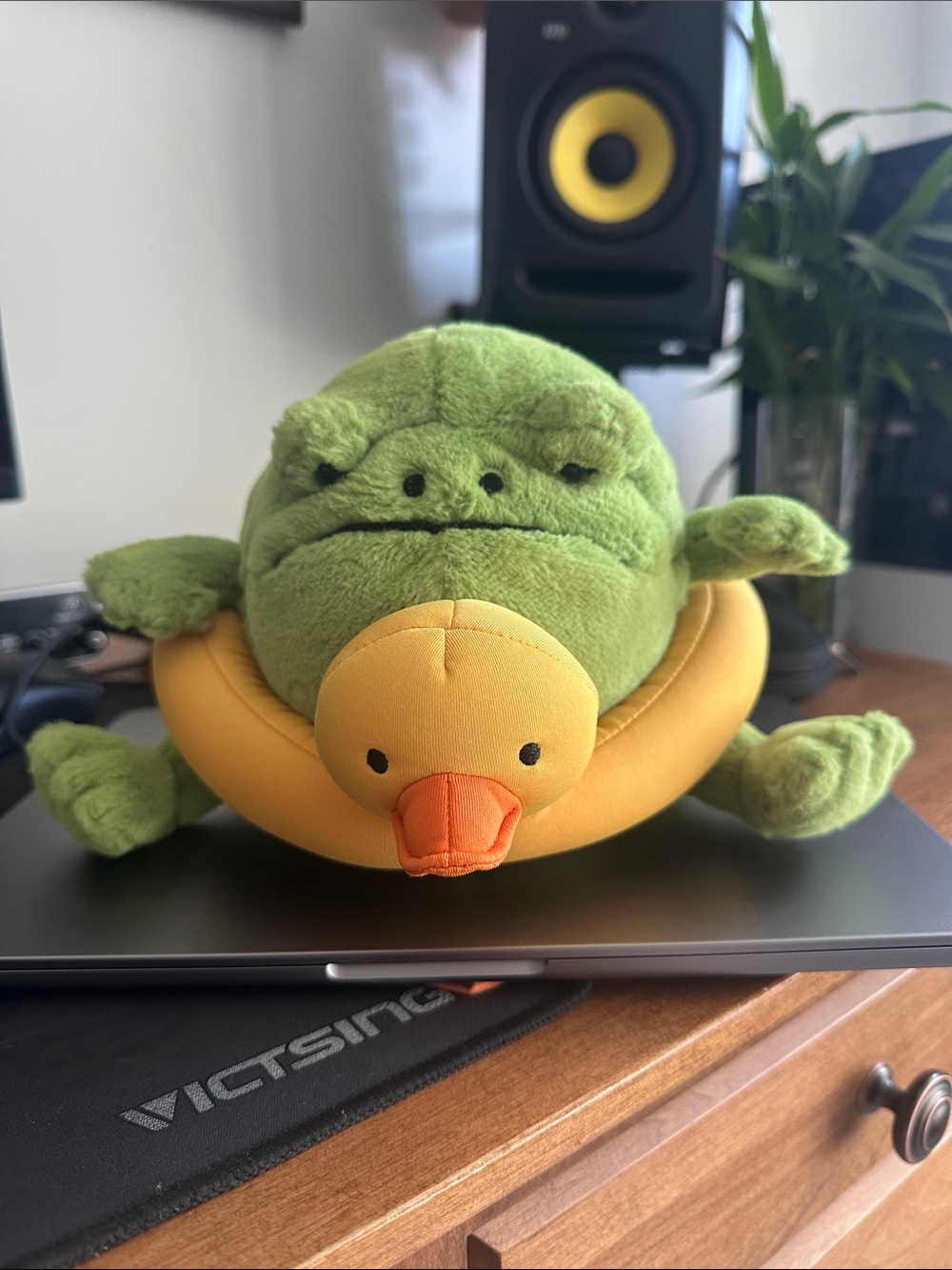 Jellycat Ricky Rainfrog Rubber Ducky Ring